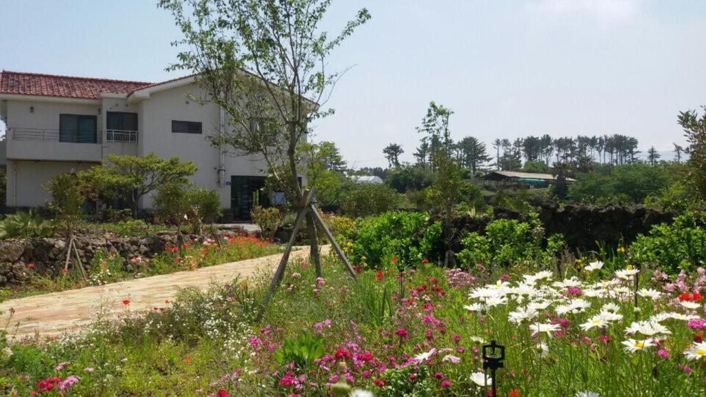 Baghdad House Villa Чеджу Екстериор снимка